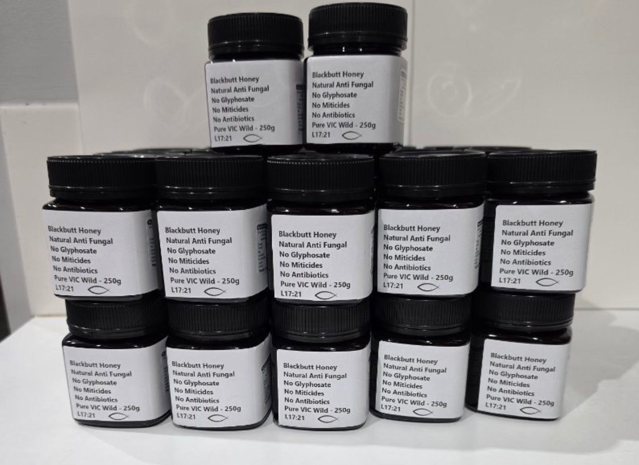 Wholesale Anti-Fungal Blackbutt Honey 250 – Carton of 18 (Free Postage)