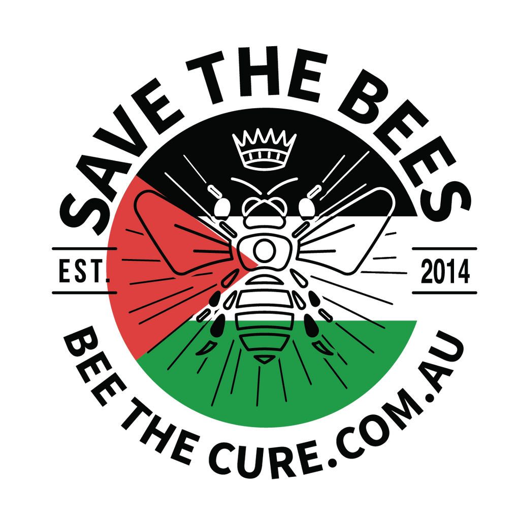 Palestine Black Tee | Hope for Peace